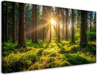 Feeby Impresi&oacute;n De Imagen, Bosque &Aacute;rboles Amanecer, 120x60