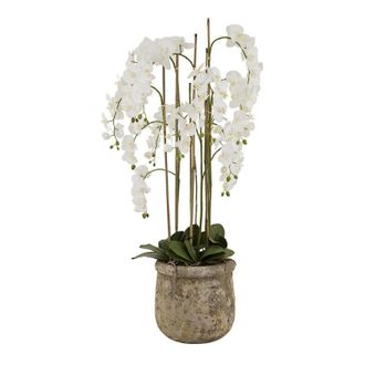 Hill Interiors Hill Interiors - Artificial Large Orchid In Antique Pot - Plastic/Stone - L40 x W40 x H153 cm - White