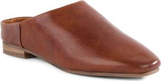 Seychelles Napa Valley Mule in Brown at Nordstrom, Size 6.5