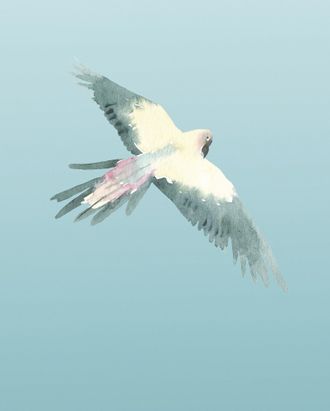 Komar Bild »Ciel« Natur 1 Stk. tlg. Wandbild zur Dekoration - ohne Rahmen