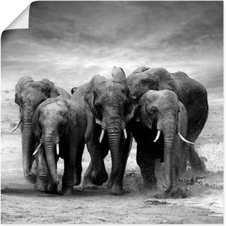 Artland Wandbild »Elefanten« Wildtiere 1 Stk. tlg. als Leinwandbild, Poster, Wandaufkleber in verschied. Grössen