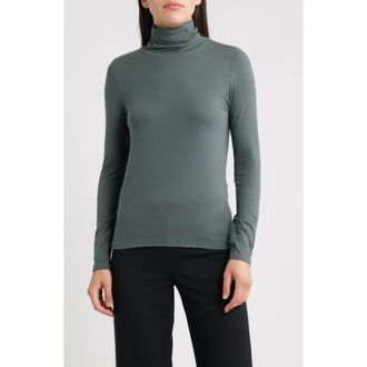 Eileen Fisher Turtleneck Stretch Organic Cotton Blend Top in Alpine at Nordstrom Rack, Size X-Small