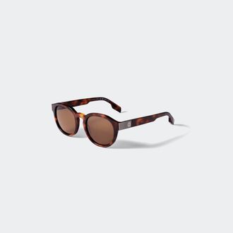 Canada Goose Como Sunglasses (Men, Havana/Brown, ONESIZE)