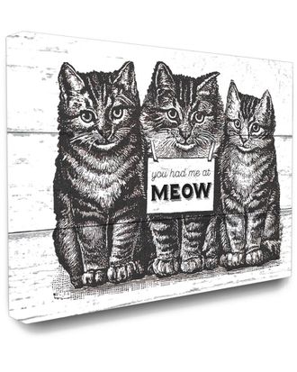 Stupell Industries You Had Me At Meow Cats