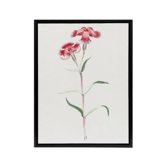Artery8 Nadeshiko Flower Framed Canvas Wall Art Print Vintage Japanese Botanical in Blue | Size: W24 x H32
