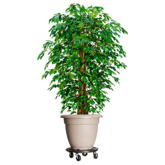 vidaXL Soporte Con Ruedas Para Plantas 2 Uds Negro Di&aacute;metro 40cm 275kg Vidaxl