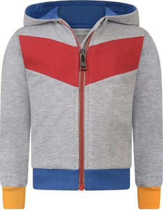 Roberto Cavalli Kids Sweatshirts, male, Gray, 12 M, Tiger Zip Up Top