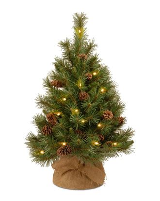 National Tree Company 3Ft Pine Cone Burlap Tree With 35 Warm White Battery Operated Led Lights W/Timer