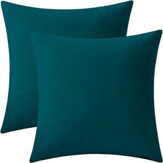 OEM Dos Fundas De Coj&iacute;n De Terciopelo Suave Y Grueso, Decorativas, Cuadradas Y De Color Liso, Ideales Para Sof&aacute;s, Dormitorios Y Coches, De 40 X 40 Cm (16 