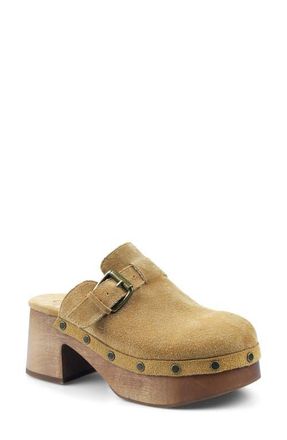 Candie's Booyah Platform Clog in Natural Suede at Nordstrom, Size 10