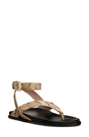 Stuart Weitzman Marykate Sandal in Adobe at Nordstrom, Size 6.5