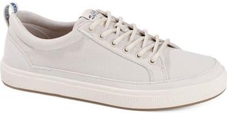 Salt Life The Coast Sneaker in Taupe at Nordstrom, Size 11.5