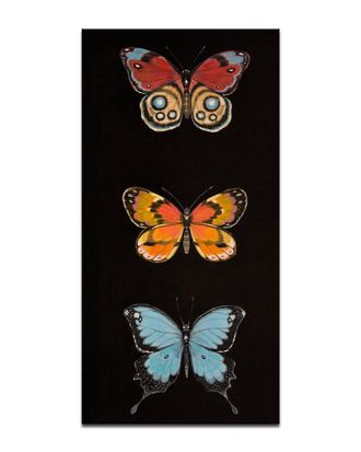 Ready2HangArt Ready2hangart Butterfly Trio Ii Wrapped Canvas Wall Art By Norman Wyatt
