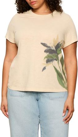Sanctuary The Perfect T-Shirt in Tahiti White at Nordstrom, Size 2X