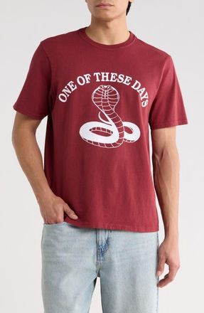 One Of These Days Cobra Graphic Print T-Shirt in Burgundy at Nordstrom, Size Xx-Large