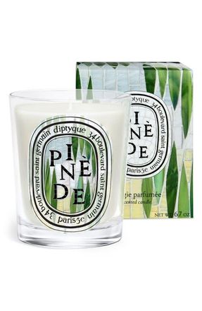 Diptyque Pin&egrave;de (Pine Grove) Classic Candle at Nordstrom
