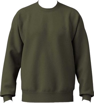 Diesel Heren S-Rob-Megoval-D Sweatshirt (Groen)