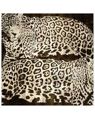 iCanvas Icanvas Leopards By Darren Davison