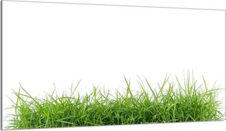 OEM Placa Protectora De Vidrio Para Estufa 90x52 Blanco