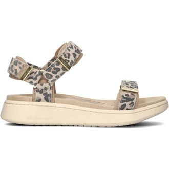 Woden Schoenen, Dames, Beige, 37 EU, Su&egrave;de, Beige Su&egrave;de Sandalen Line