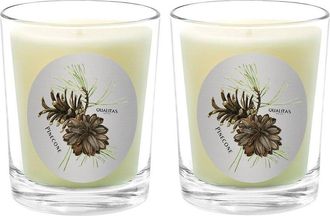 Qualitas Pinecone Two Scented Beeswax Candle Set