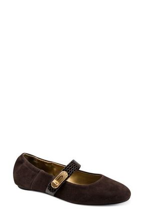 DKNY Anselm Mary Jane Flat in Canyon at Nordstrom, Size 5.5