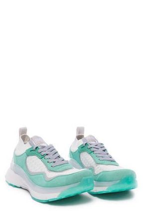 P448 Lightning Platform Sneaker in Tfy/whi at Nordstrom Rack, Size 43