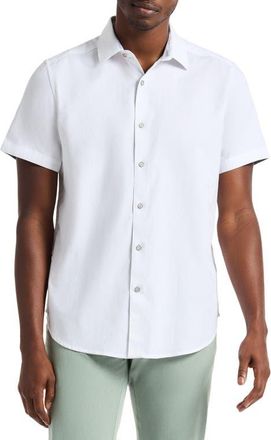 Robert Graham Highland Jacquard Short Sleeve Button-Up Shirt in White at Nordstrom, Size Xxx-Large