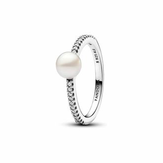 Pandora Dames, Accessoires, Grijs, Maat: ONE Size