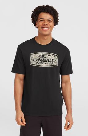 O'Neill T-Shirt ONEILL ONEILL GRAPHIC T-SHIRT, Herren, Gr. XXL, schwarz, Single Jersey, Obermaterial: 100% Baumwolle, Rundhals, Shirts T-Shirt