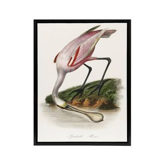 Artery8 Roseate Spoonbill Couaihac Vintage Black Framed Canvas Wall Art in White | Size: W24 x H32