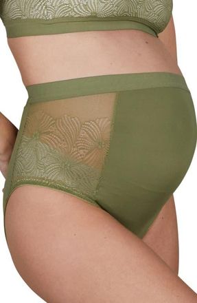 Cache Coeur Maxi maternity panties Dahlia in Khaki at Nordstrom, Size X-Large