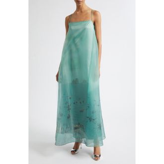 Staud Delfina Print Organza Maxi Dress in Endless Summer at Nordstrom, Size X-Small