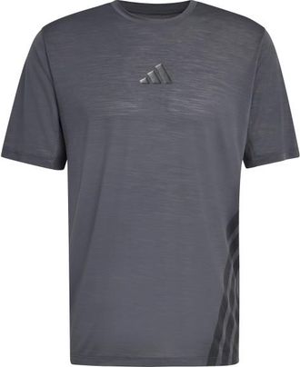 ADIDAS TERREX XPR Tee Funktionsshirt f&uuml;r Herren | blau/grau