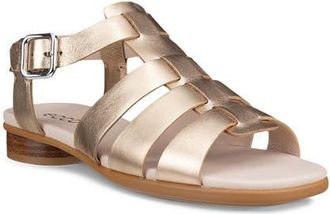 Ecco Sculpted Alba 25 Fisherman Sandal in Nature Foil at Nordstrom, Size 11-11.5Us