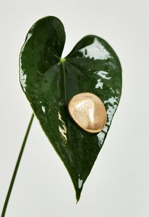 Reiss Gold Tone Textured Pebble Earrings