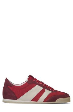 Collegium Pista Low Top Sneaker in Ruby Leather at Nordstrom, Size 11Us
