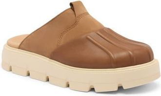 Sorel Rein CB Clog in Velvet Tan/Bleached Ceramic at Nordstrom, Size 9.5