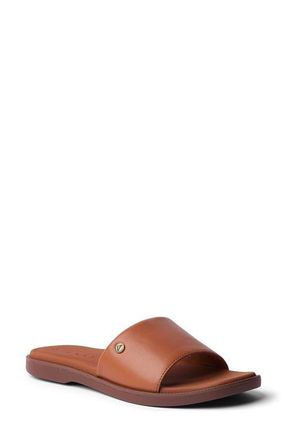 Reef Cushion Sunny Slide Sandal in Cocoa at Nordstrom, Size 8