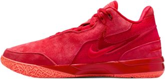 Nike Zoom LeBron NXXT Gen EP James Gang FJ1567-600