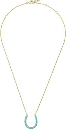 Native Gem Lucky Turquoise Horseshoe Necklace in Turquoise/aqua at Nordstrom