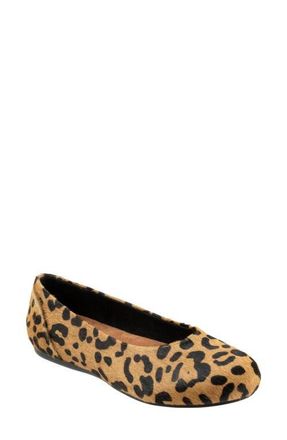 Softwalk Sonoma Genuine Calf Hair Flat in Tan Leopard at Nordstrom, Size 10.5