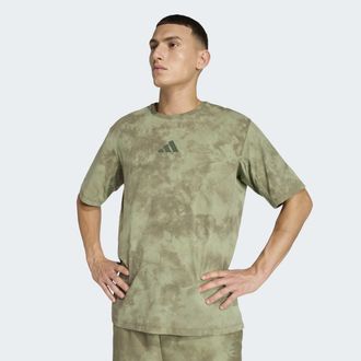 ADIDAS TERREX Funktionsshirt ADIDAS TERREX MT TEE SD, Herren, Gr. L, tent gr&uuml;n, olive strata, Obermaterial: 100% Polyester, normal, Rundhals, Shirts Funktionsshirt