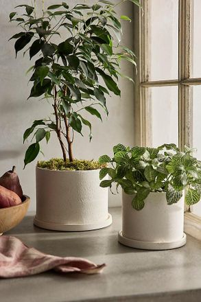 Terrain Easton Ceramic Pot + Saucer Set