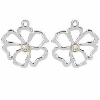 Pandora Dames, Accessoires, Grijs, Maat: ONE Size