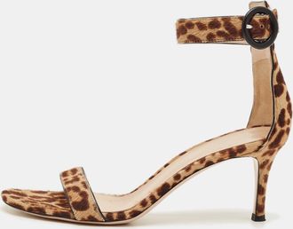 Gianvito Rossi Brown/beige Leopard Print Calf Hair Portofino Ankle Strap Sandals