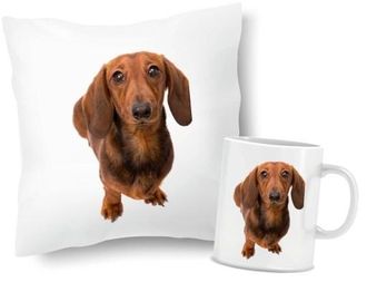 OEM Juego De Almohada Y Taza Con Dise&ntilde;o De Perro Salchicha