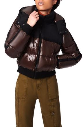 Bernie Water Resistant Shiny Mixed Media Crop Puffer Jacket in Chocolate Black at Nordstrom, Size X-Small