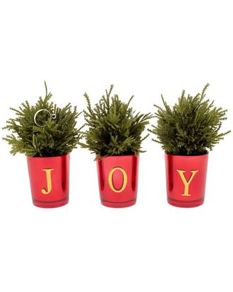 National Tree Company 8In Christmas Joy Tabletop, Set Of 3