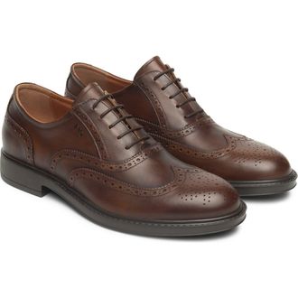 Nero Giardini Wingtip Oxford in Brown at Nordstrom, Size 10-10.5Us